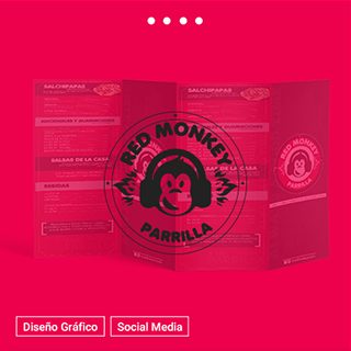 servicios red-monkey